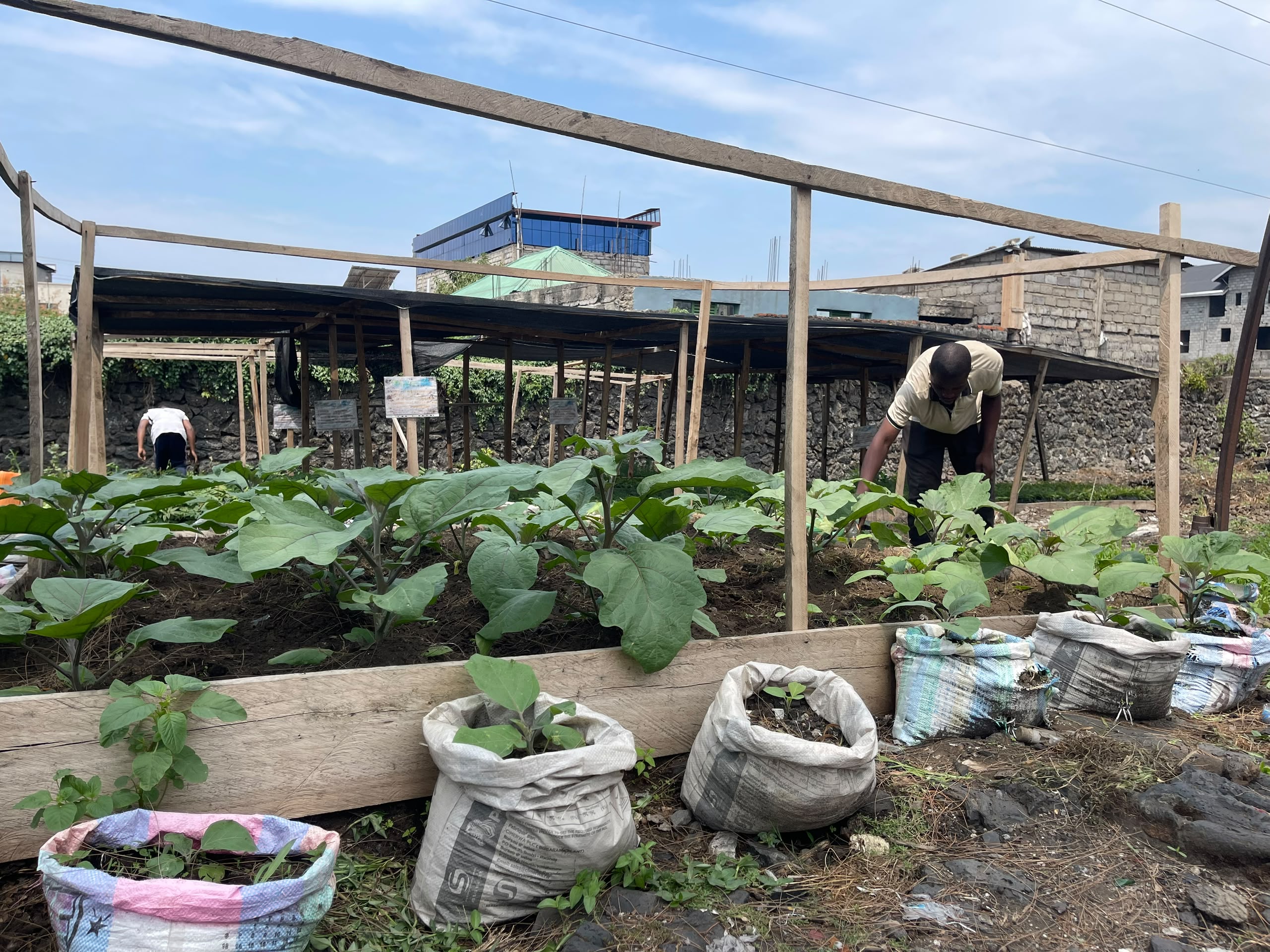 Agriculture durable et sécurité alimentaire