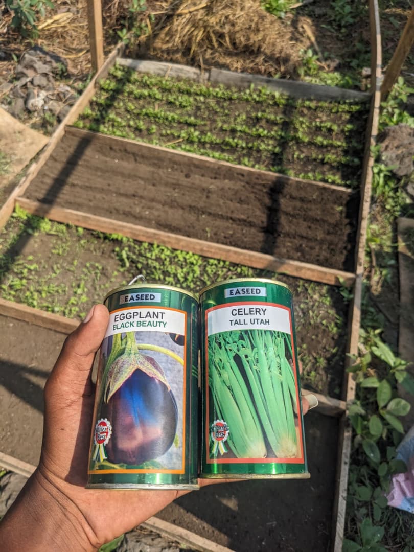 𝗟’𝗮𝗴𝗿𝗶𝗰𝘂𝗹𝘁𝘂𝗿𝗲 𝘂𝗿𝗯𝗮𝗶𝗻𝗲 𝗮̀ 𝗽𝗲𝘁𝗶𝘁𝗲 𝗲́𝗰𝗵𝗲𝗹𝗹𝗲 : 𝘂𝗻 𝗺𝗼𝘆𝗲𝗻 𝗱𝗲 𝗿𝗲́𝘀𝗶𝗹𝗶𝗲𝗻𝗰𝗲 𝗮̀ 𝗹’𝗶𝗻𝘀𝗲́𝗰𝘂𝗿𝗶𝘁𝗲́ 𝗮𝗹𝗶𝗺𝗲𝗻𝘁𝗮𝗶𝗿𝗲 𝗮̀ 𝗚𝗼𝗺𝗮