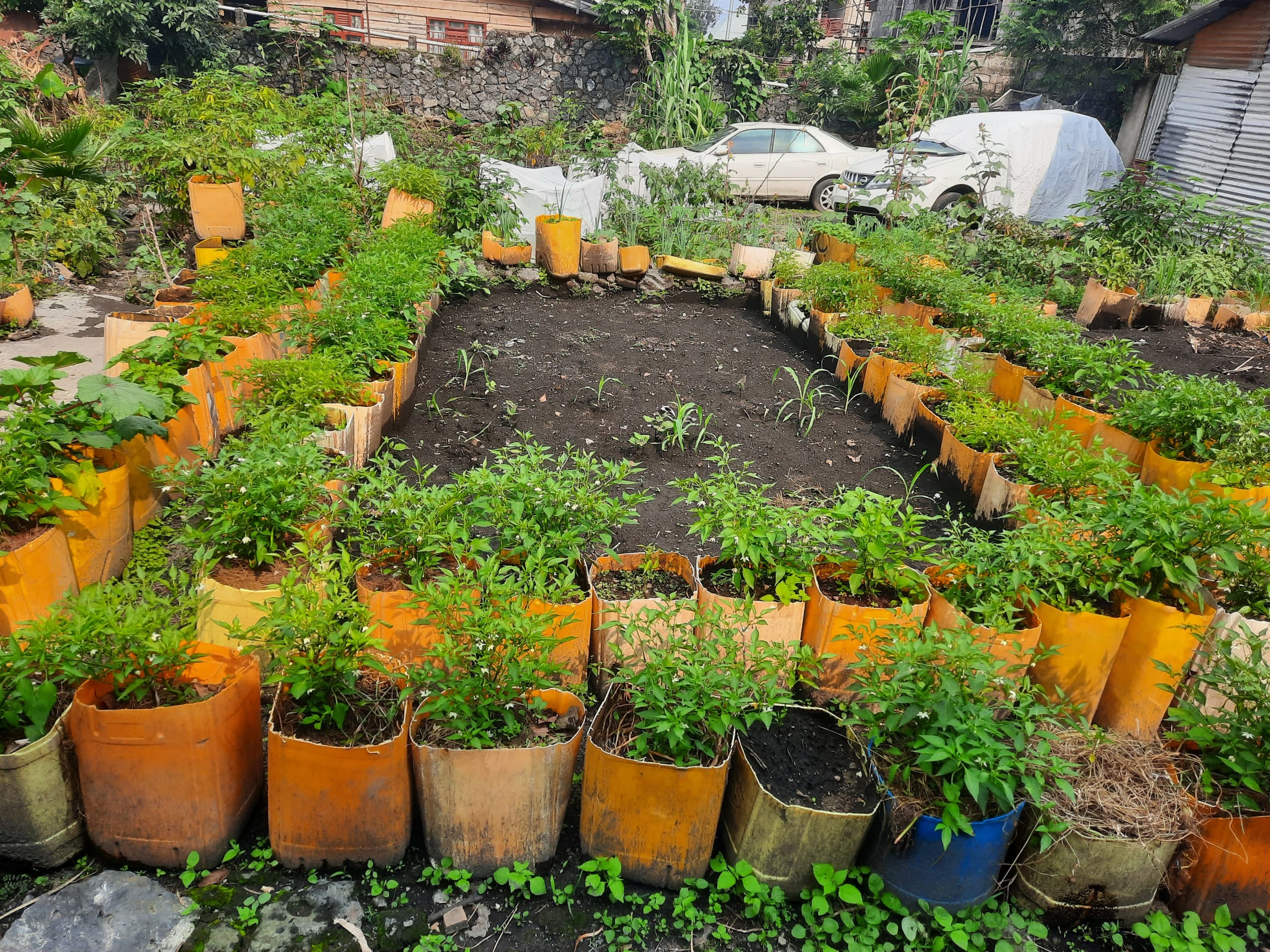 Autonomisation des femmes par l’agriculture familiale durable à Mugunga